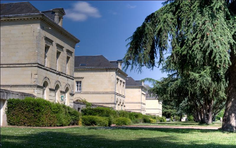 فندق Domaine De Roiffé المظهر الخارجي الصورة